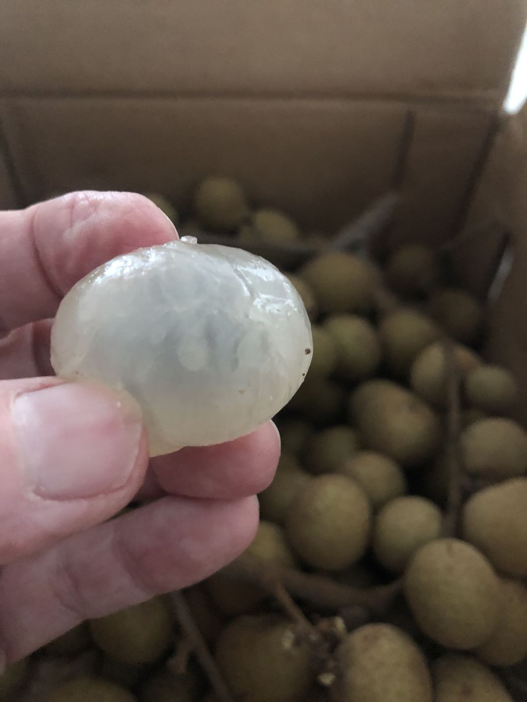 Customer photo review of Longan Box