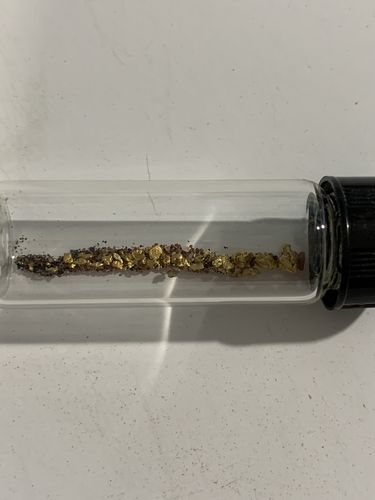 Customer photo review of Nugget Reserve 'MUSEUM SPECIMEN CHASE' - Gold Panning Paydirt Concentrate