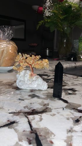 Customer photo review of Citrine Tree with Aura Quartz Base