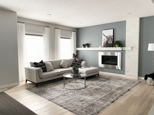 Customer photo review of Distressed Vintage Kendra Ash Area Rug