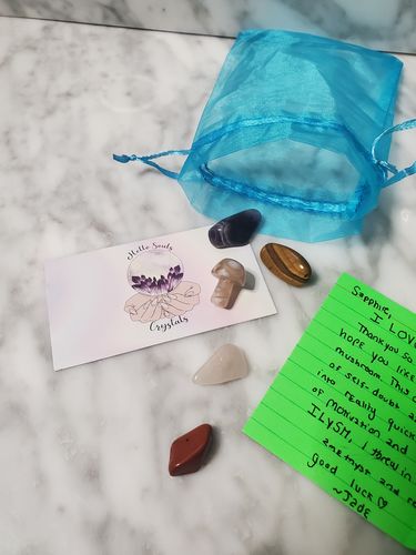 Customer photo review of Intuitively Selected Mini Mushroom