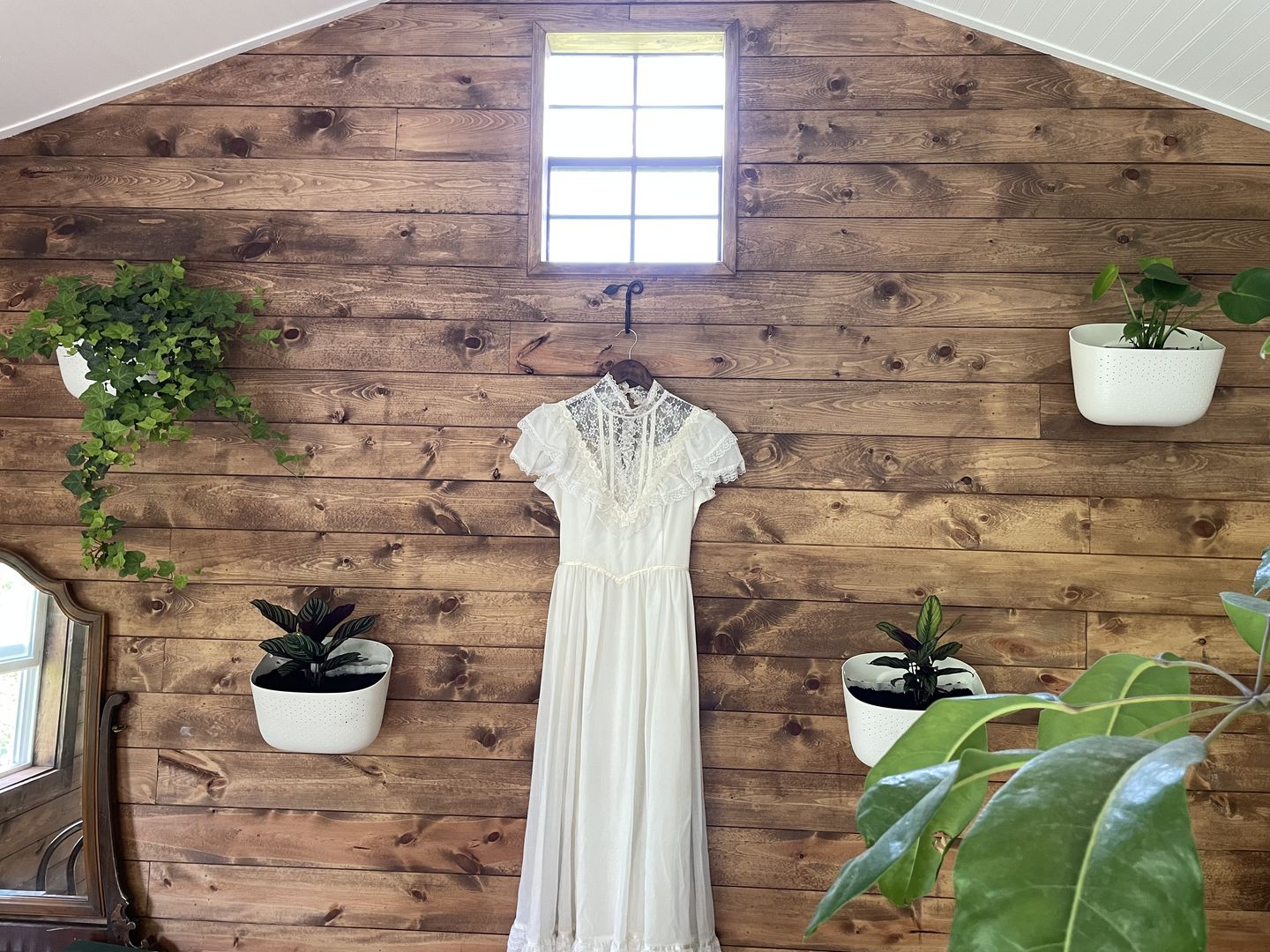 Customer photo review of Eco White Wall Planter