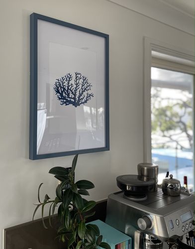 Customer photo review of Fan Coral II