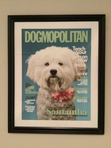 Customer photo review of Posing Pig Custom Print