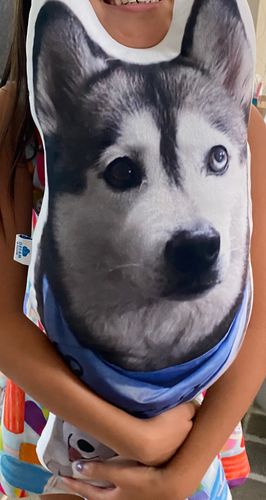 Customer photo review of Create A Custom Dog Pillow
