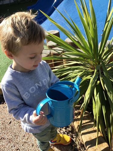 Customer photo review of Simple Spectrum Nutritional Support Supplement