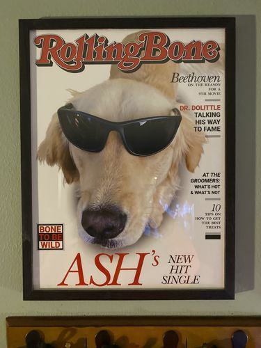 Customer photo review of 12.75 x 17" Frame Add-On