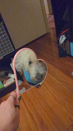 Customer photo review of Trixie's Handheld Mirror