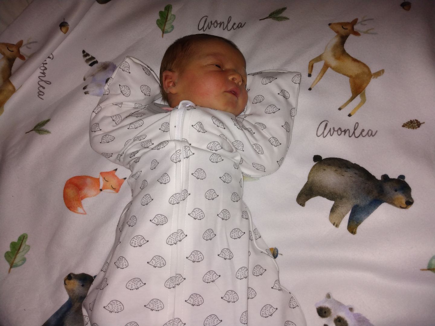 Customer photo review of Woodland Animals Personalized Baby Blanket
