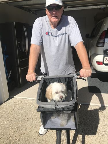 Customer photo review of All In One Pet Carrier Bag | Dog Bike Basket | Backpack for Dogs & Cats | Car Booster Seat