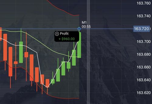 Customer photo review of HFX TRADING COURSE