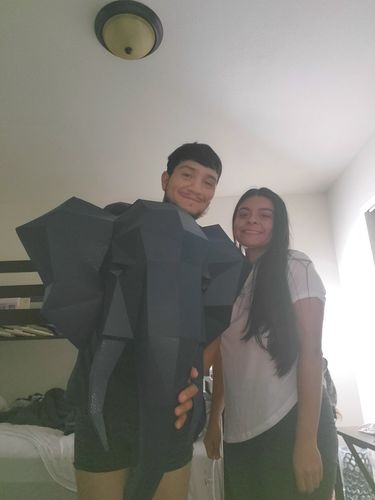 Customer photo review of 3D Elephant Head Wall Art