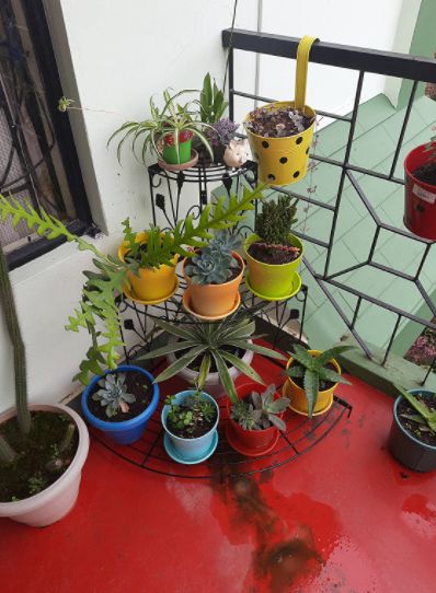 Customer photo review of 3 Tier Plant Stand Floral Corner Shelf Metal Flower Pot