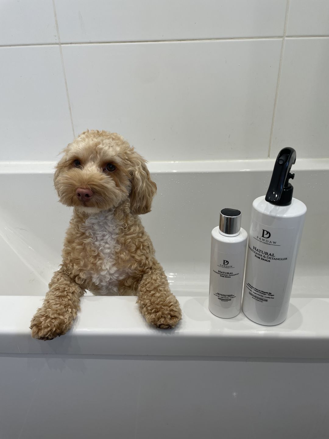 Customer photo review of Natural Conditioning Shampoo