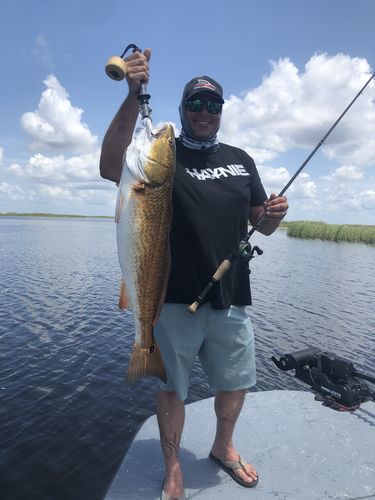 Customer photo review of Power Mag