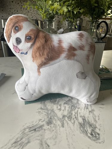 Customer photo review of Create A Custom Dog Pillow