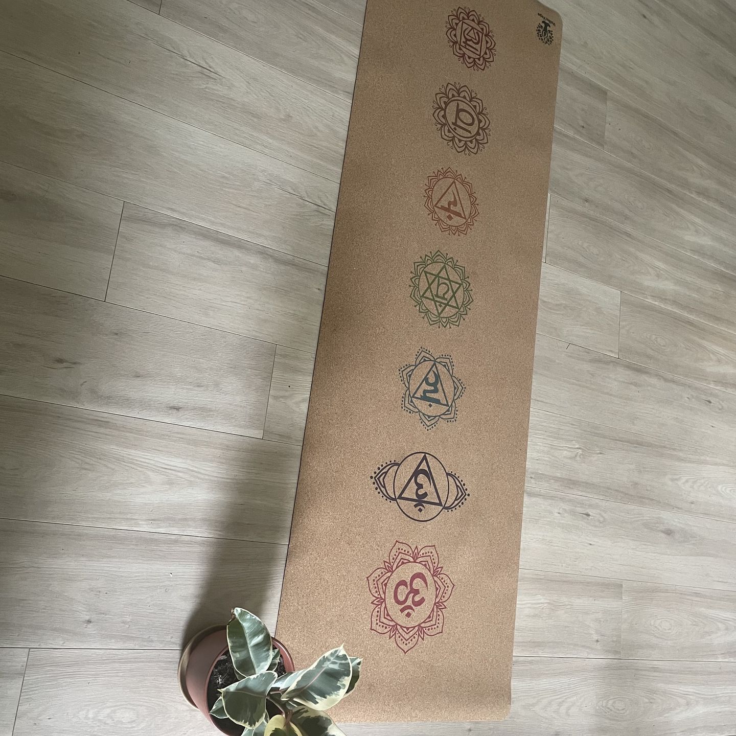 Customer photo review of Chakra Yoga Mat