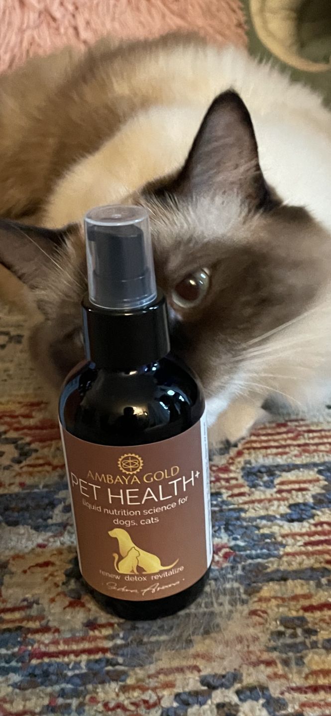 Customer photo review of Pet Health+™