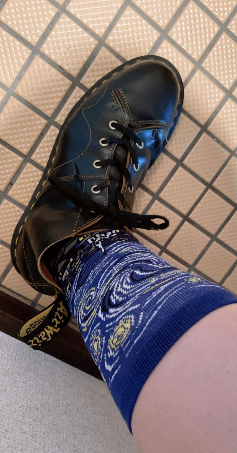Customer photo review of Famous paintings socks