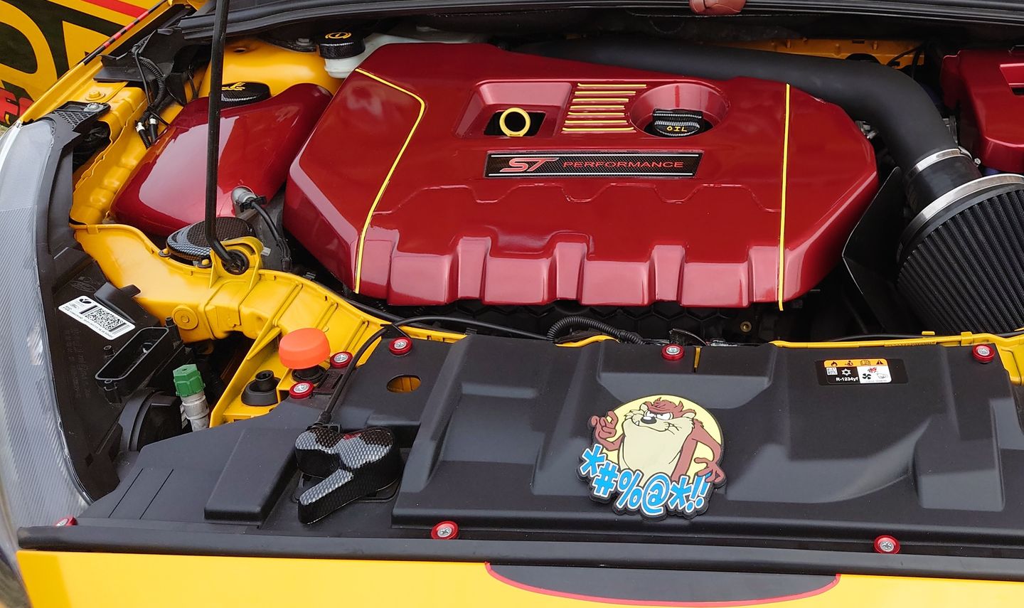 Customer photo review of Proform Bonnet Catch Cover (various colours) - MK3 / 3.5 Focus & Mk2 Puma