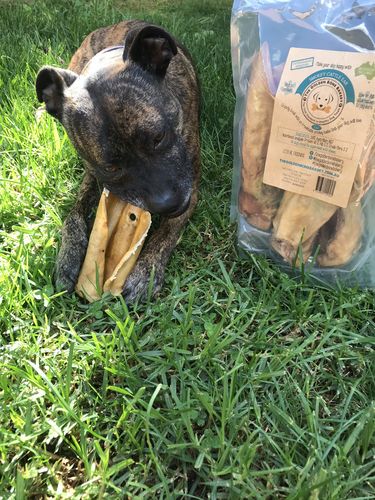 Adriana E. review of Smokey Cattle Ears image 1 out of 1