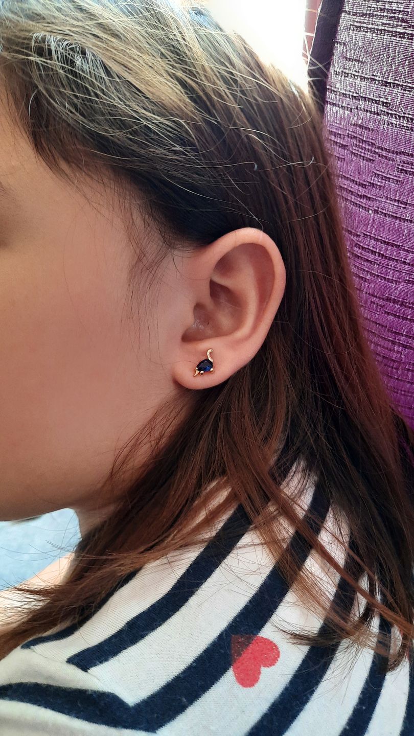 Customer photo review of Aretes de Dinosaurio