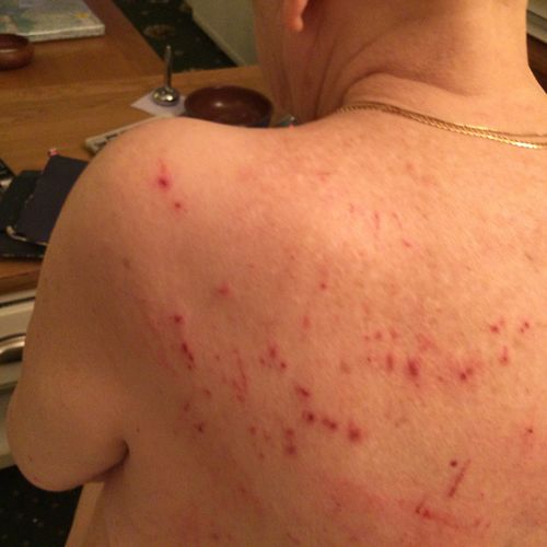 Customer photo review of Multi Strain Biotic