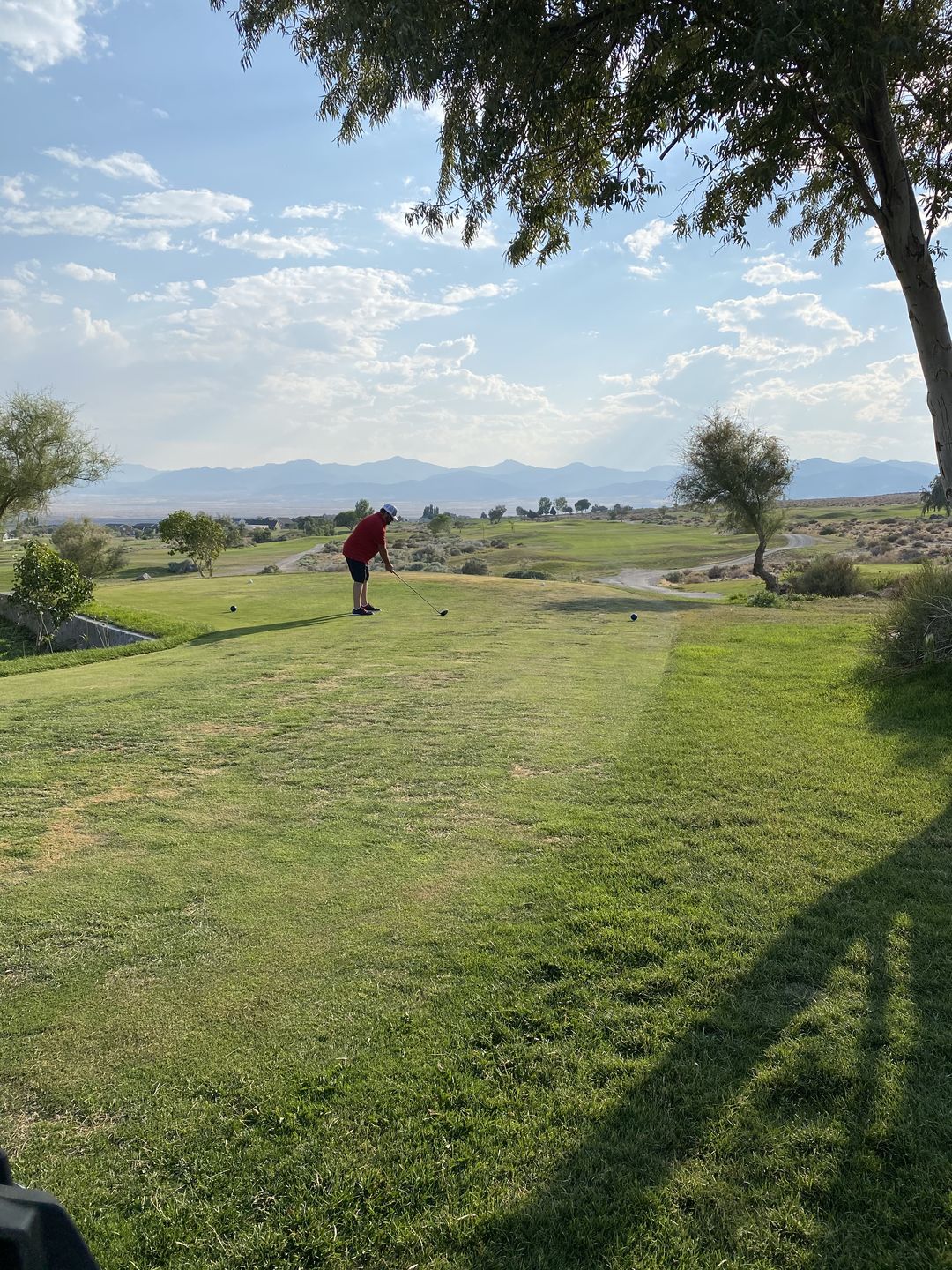 Customer photo review of Telos Premium Golf Tees
