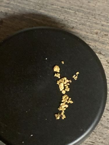 Customer photo review of 2 Lb. JACKPOT PAYDIRT™ Gold Paydirt Unsearched