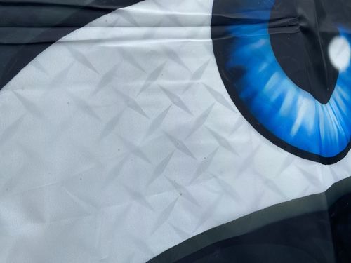 Customer photo review of Glam Eyes Car Sunshade Custom Cartoon Car Windshield Accessories