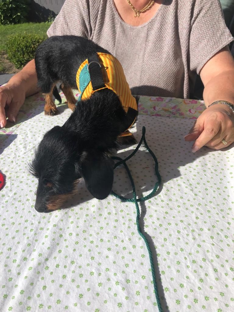 Customer photo review of Hunde Trinkflasche inkl. Futterbehälter