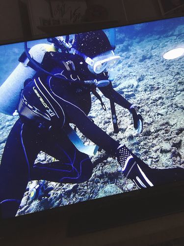 Customer photo review of "Islandy" Set of 12 Earrings