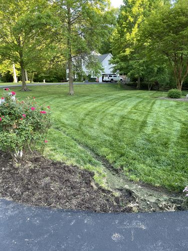 Customer photo review of N-Ext Humic12