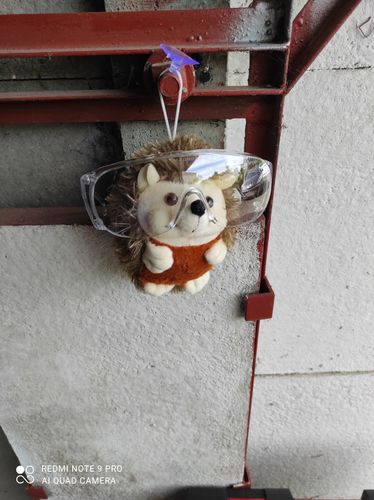Customer photo review of Peluche Niglo