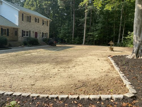 Customer photo review of GCI Turf Type Tall fescue Grass Seed