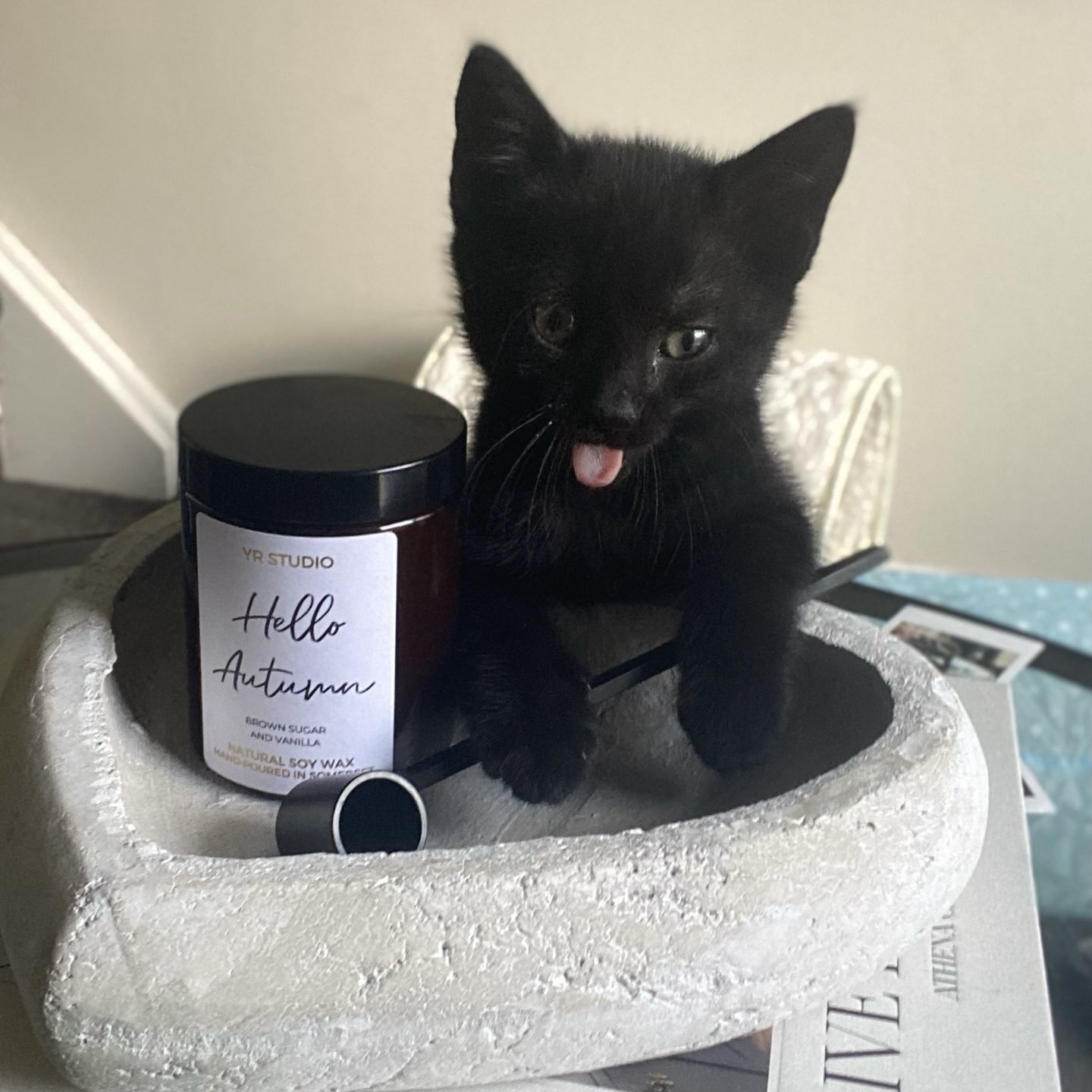 Customer photo review of "Hello Autumn" Brown Sugar and Vanilla Scented Soy Candle in Amber Jar