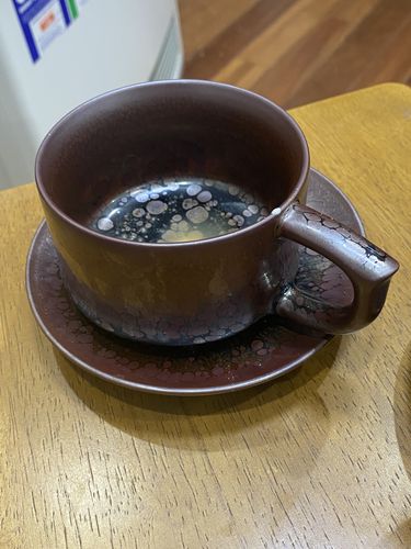 Customer photo review of Succulent Coffee Cup