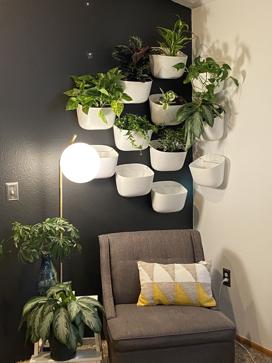 Customer photo review of Eco White Wall Planter