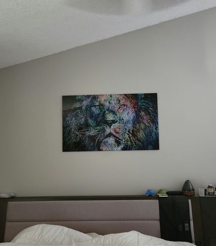 Customer photo review of Color Lion