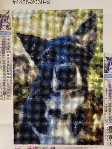 Customer photo review of Your Advanced Custom Diamond Painting Kit - Premium Quality