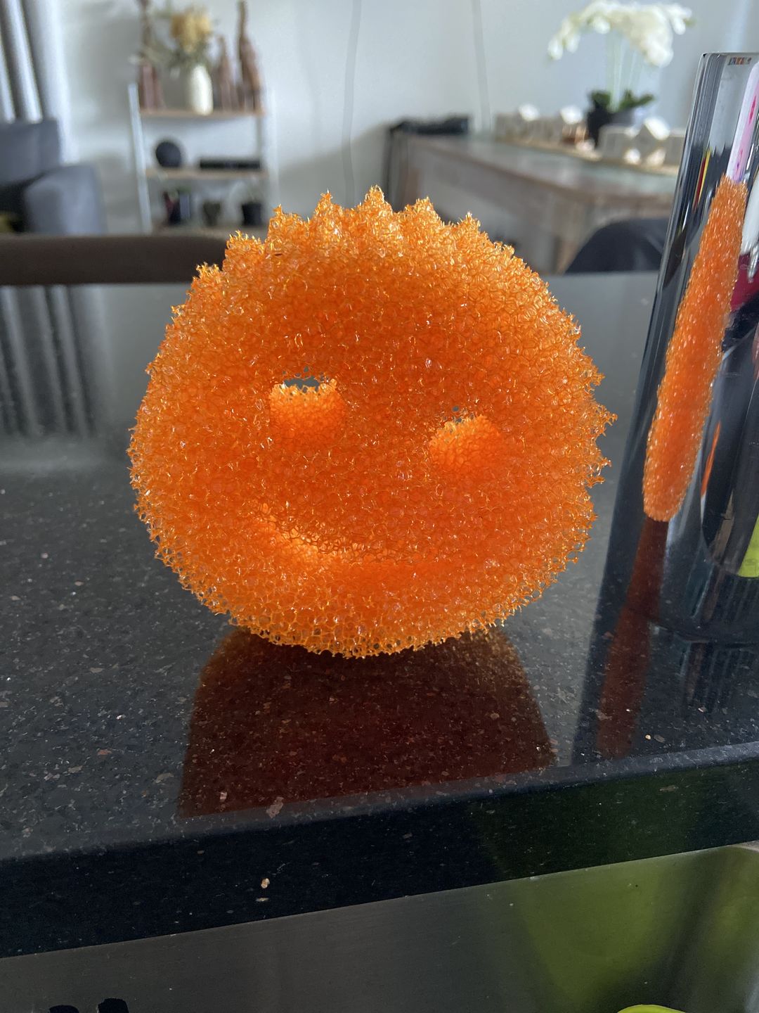 Customer photo review of Scrub Daddy Colours 4 Pack