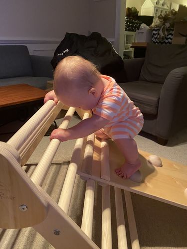 Customer photo review of Little Climber
