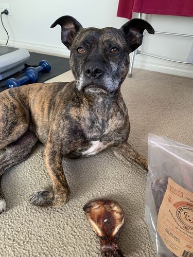 Adriana E. review of Roo Wings image 1 out of 1