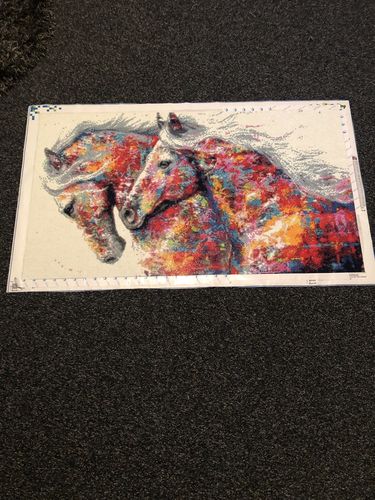 Customer photo review of Diamond Painting - Pferde