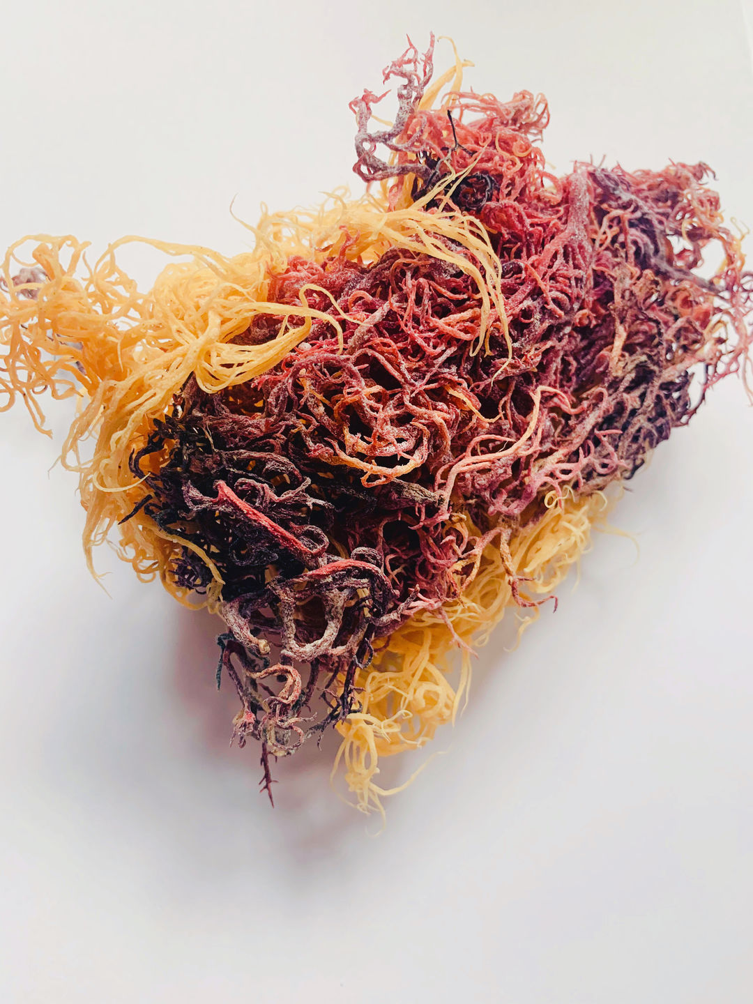 Customer photo review of Raw Full Spectrum Sea Moss