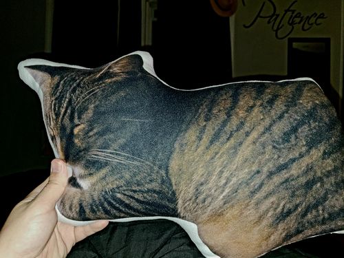 Customer photo review of Create A Custom Cat Pillow
