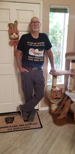 Customer photo review of My Cat Is The Reason - Personalized Custom Premium T-shirt