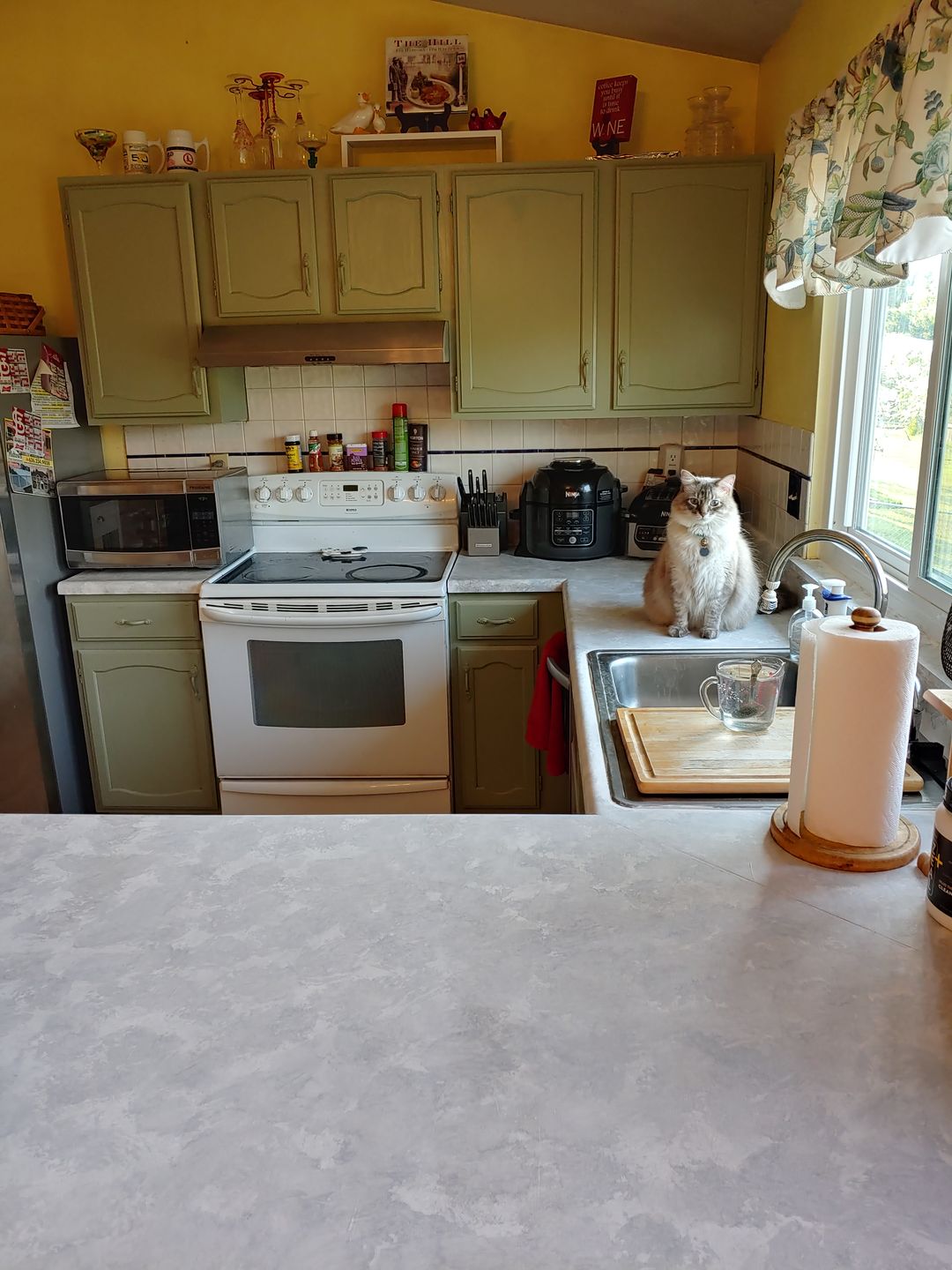 Customer photo review of Glazed Over