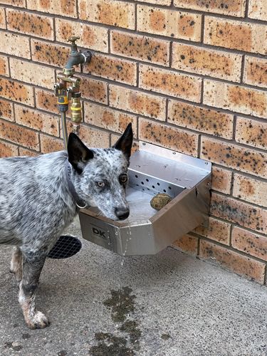 Customer photo review of DK Stainless - Premium Stubby Cooler | Let's Keep Aussie Manufacturing Alive