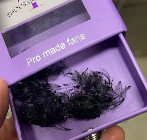 Customer photo review of 14D PRO-MADE VOLUME FANS 0.03 SINGLE LENGTH 8-18MM